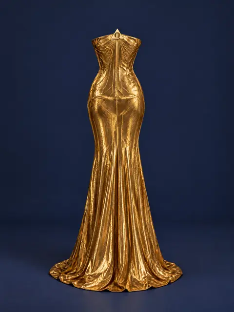 The Capstone Gown, back